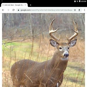 Meet your Posher, Gavin